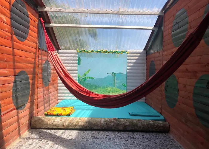 Miradores Del Oso Perezoso