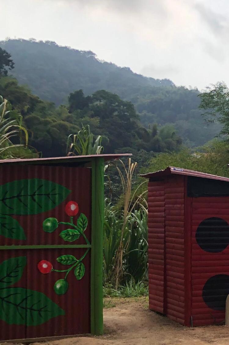 Miradores Del Oso Perezoso