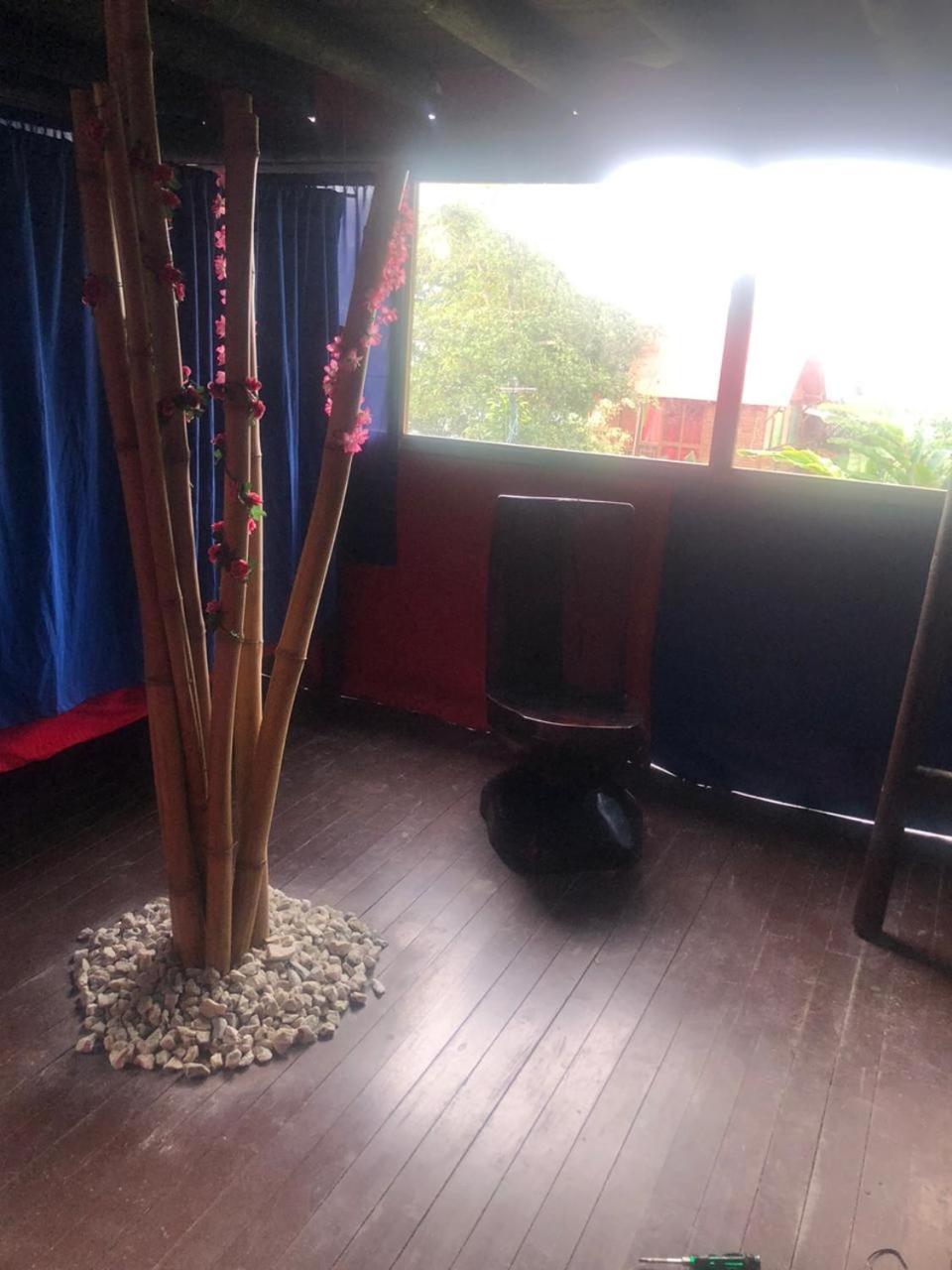 Miradores Del Oso Perezoso Farm stay *