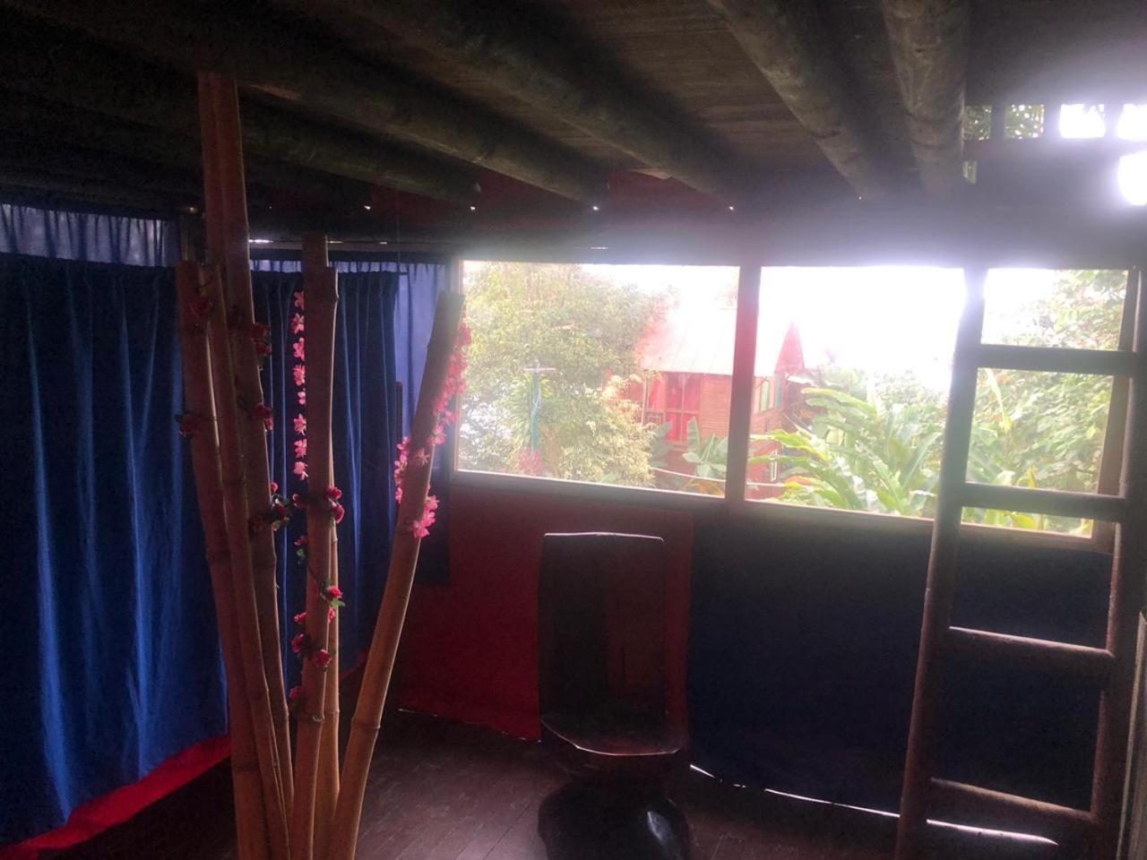 Farm stay Miradores Del Oso Perezoso *