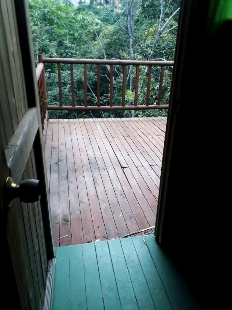 Farm stay Miradores Del Oso Perezoso *