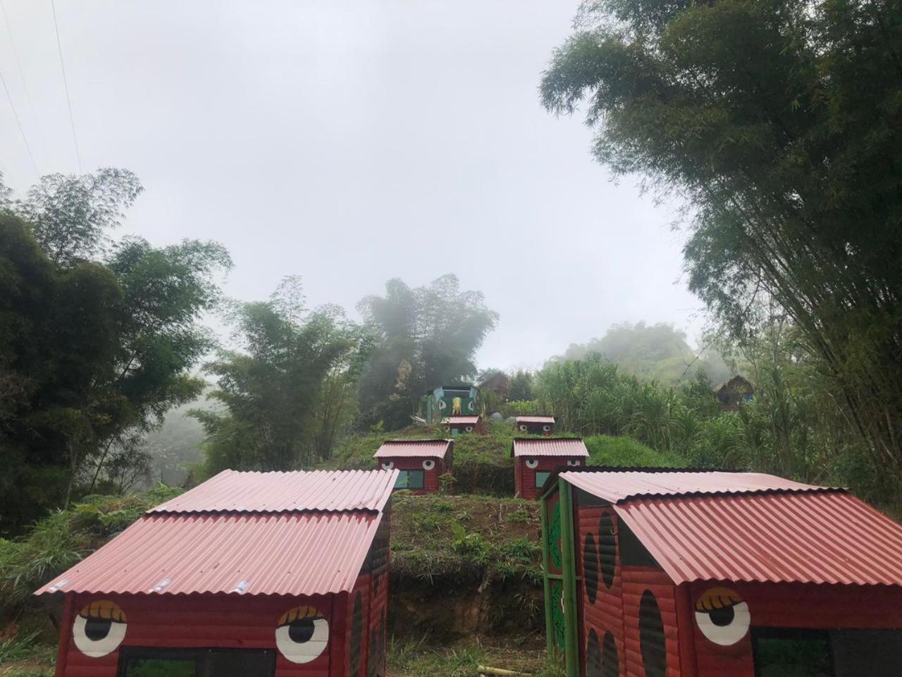 Miradores Del Oso Perezoso *