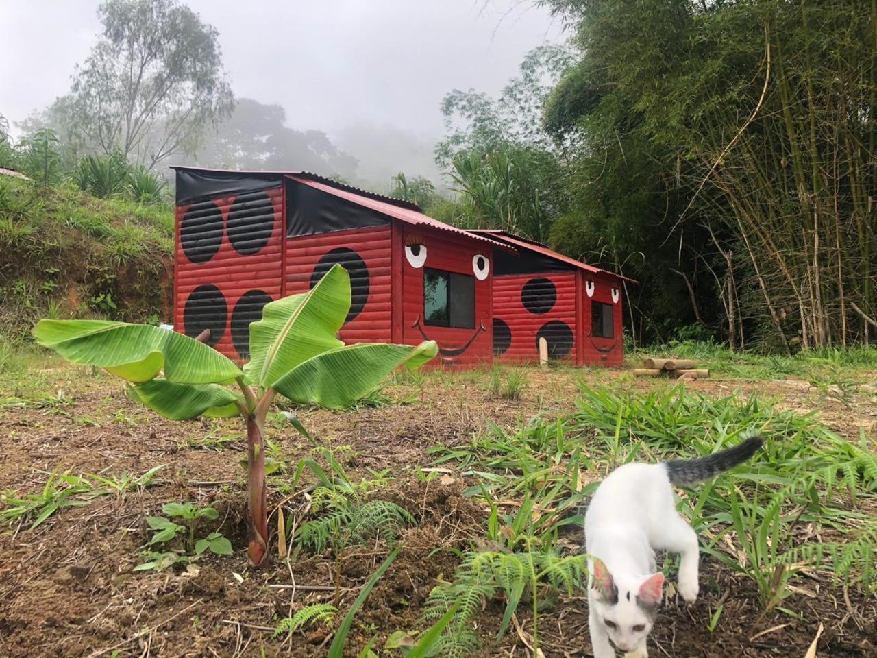 Séjour à la ferme Miradores Del Oso Perezoso *