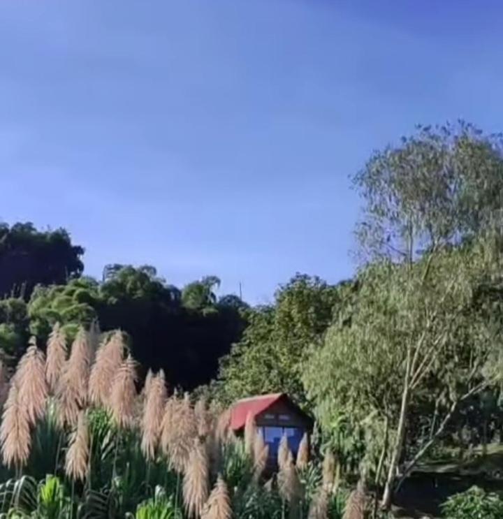 Miradores Del Oso Perezoso * Minca