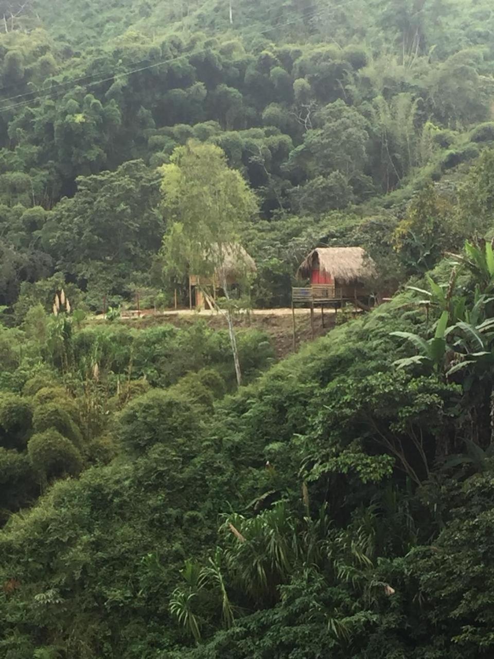 Miradores Del Oso Perezoso * Minca