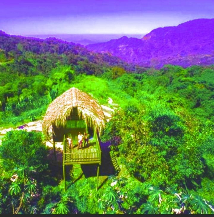 Miradores Del Oso Perezoso Farm stay